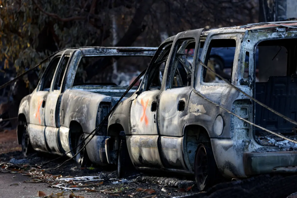 Hỏa hoạn ở Maui: Thoát nạn nhờ vượt phong tỏa của cảnh sát